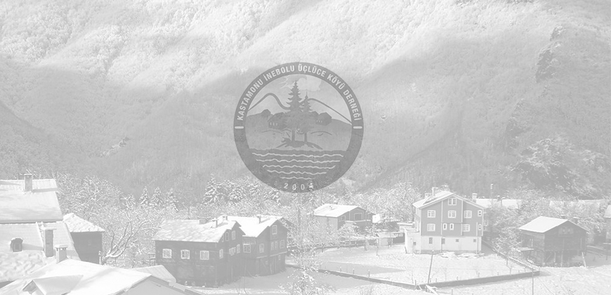 FERİDE ARSLAN HANIMEFENDİ VEFAT ETTİ